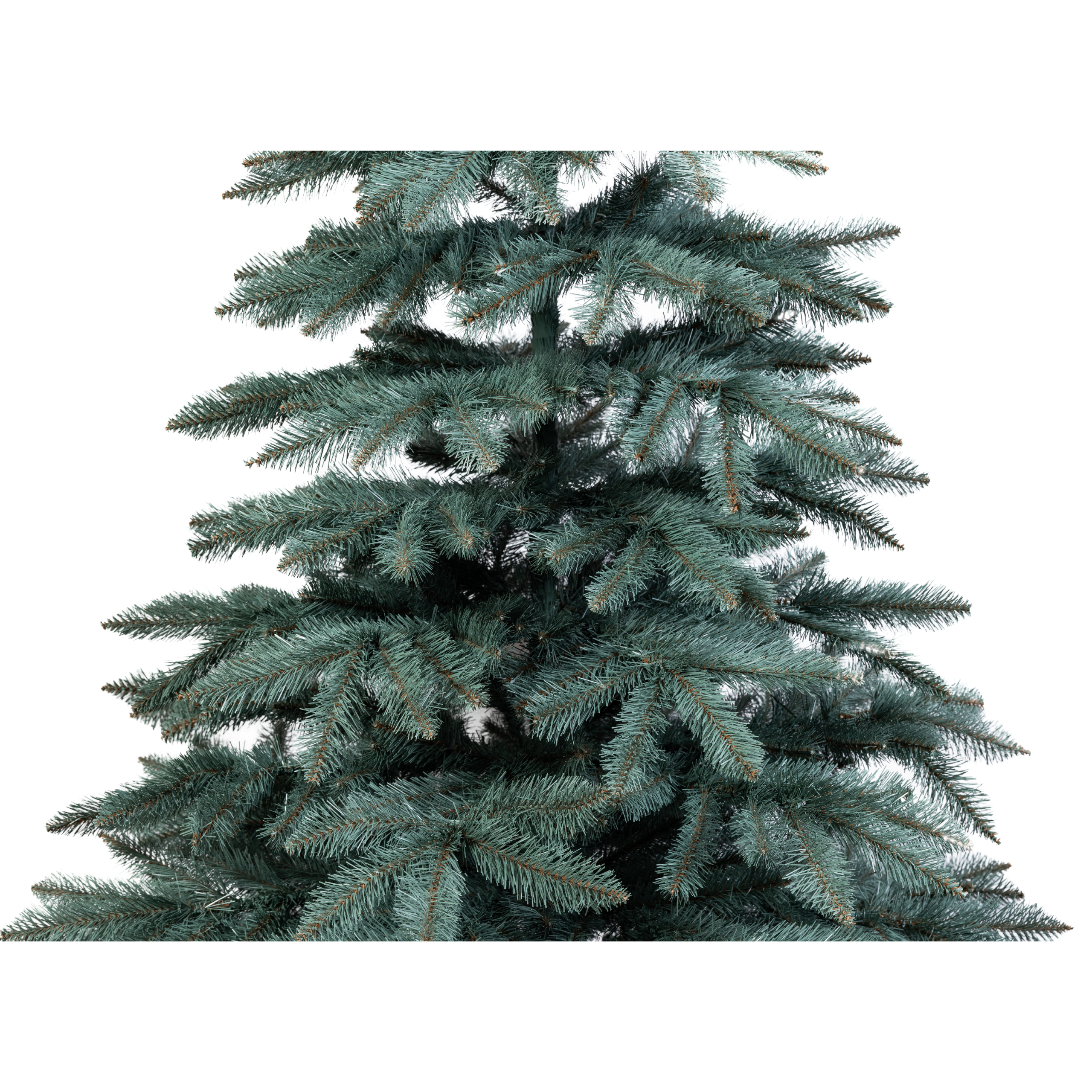 ŚWIERK BLUE_5